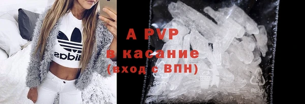 СК Алексин