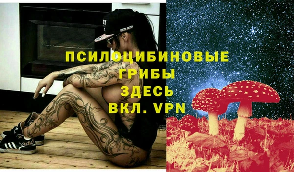 молекула духа Алзамай