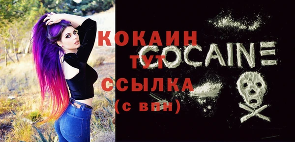 СК Алексин