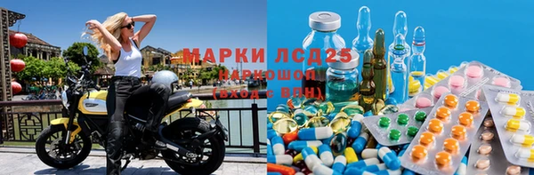 СК Алексин