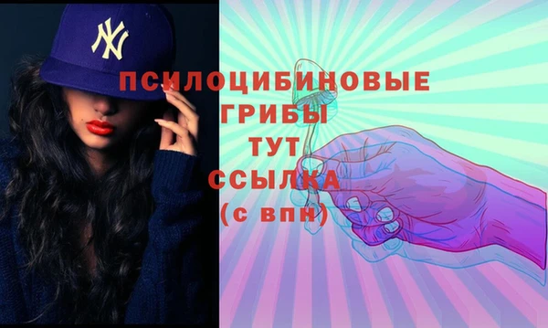молекула духа Алзамай